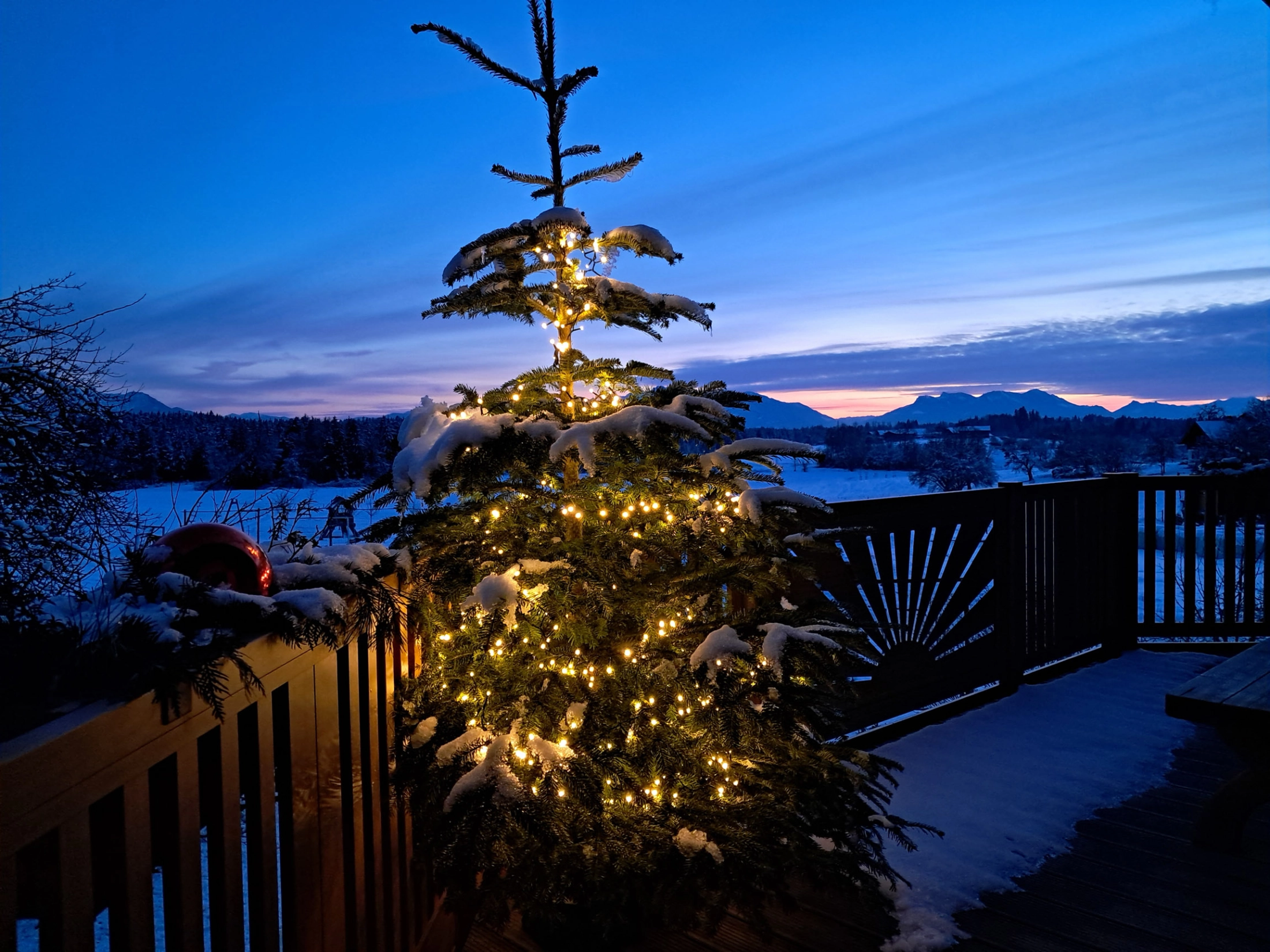 Weihnachtsbaum