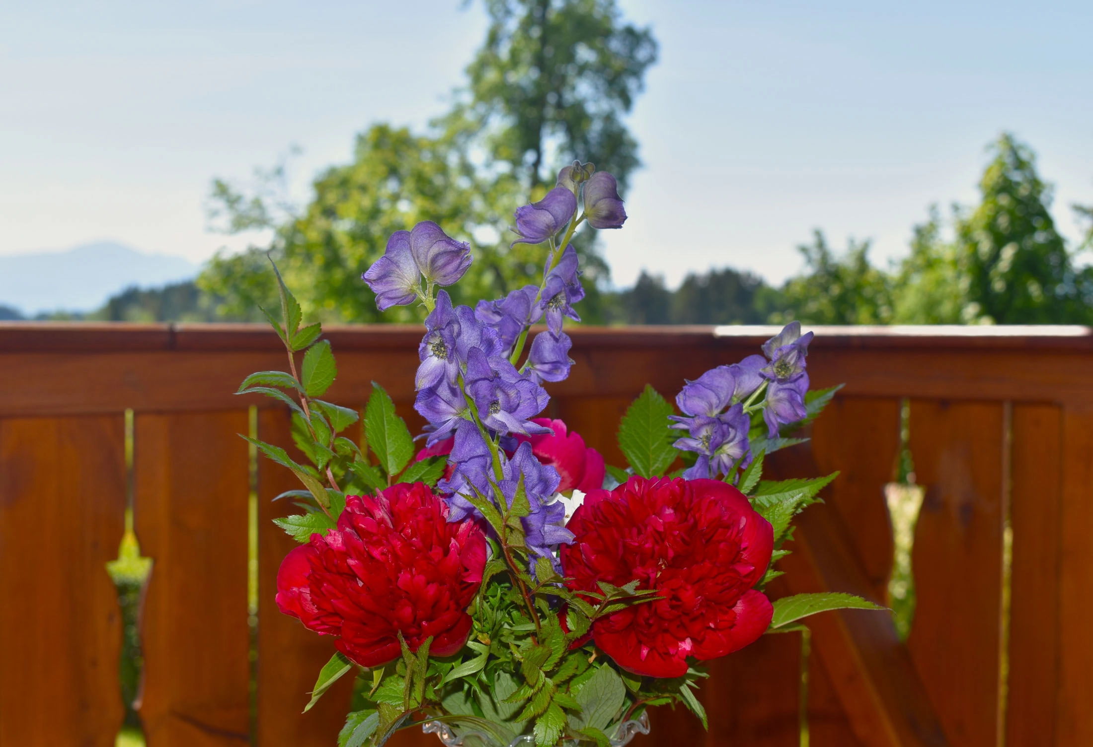 Blumen auf Balkon