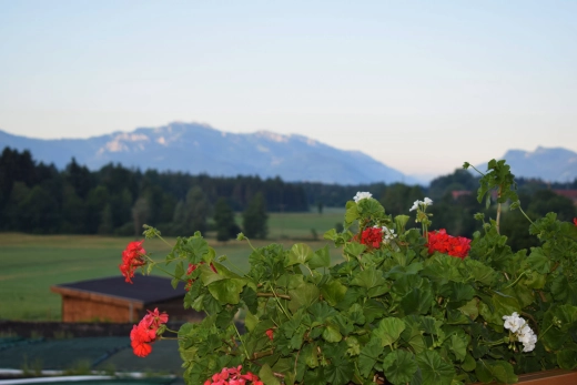 Ausblick Balkon