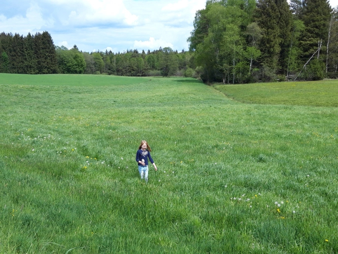 Kind auf Wiese vor Wald