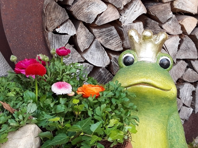 Frosch Dekoration