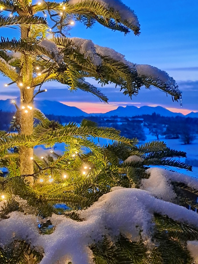 Weihnachtsbaum im Schnee