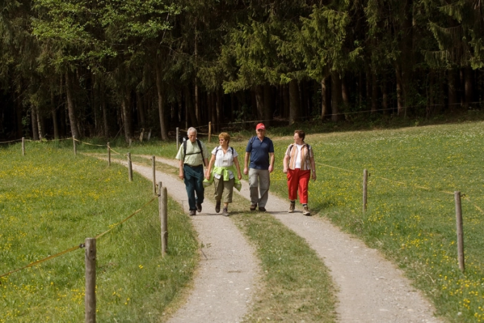 Wanderer auf Wanderwe