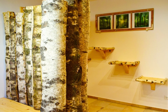 Wellness Bereich Impression