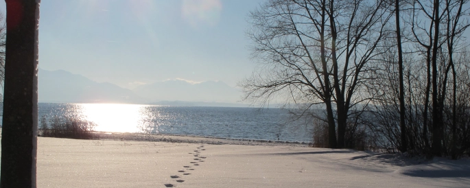 See im Winter
